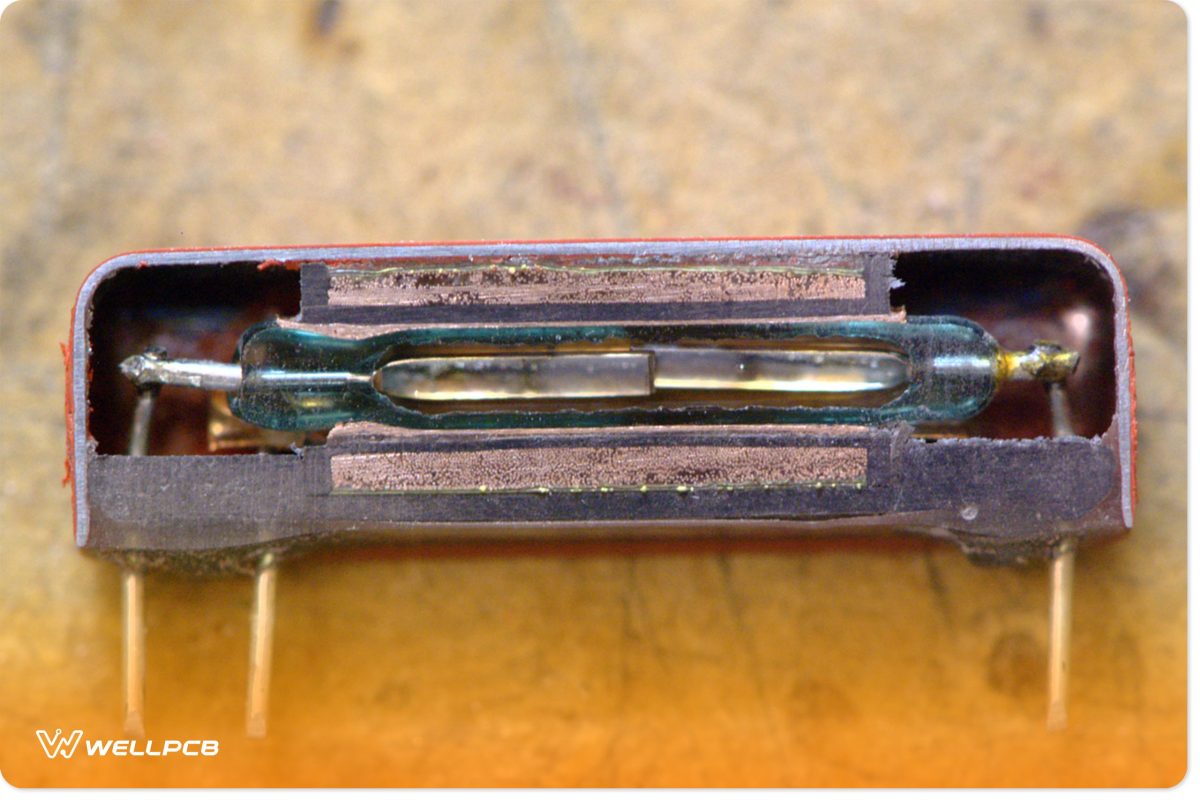 Cross section of a reed relay