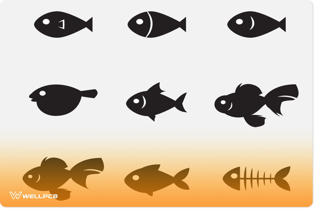 Fish illustration icon