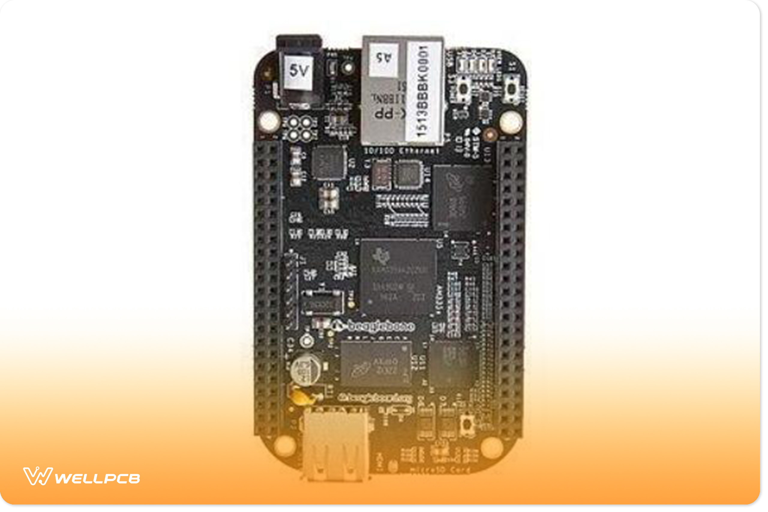 Image of a Beagleblack Bone