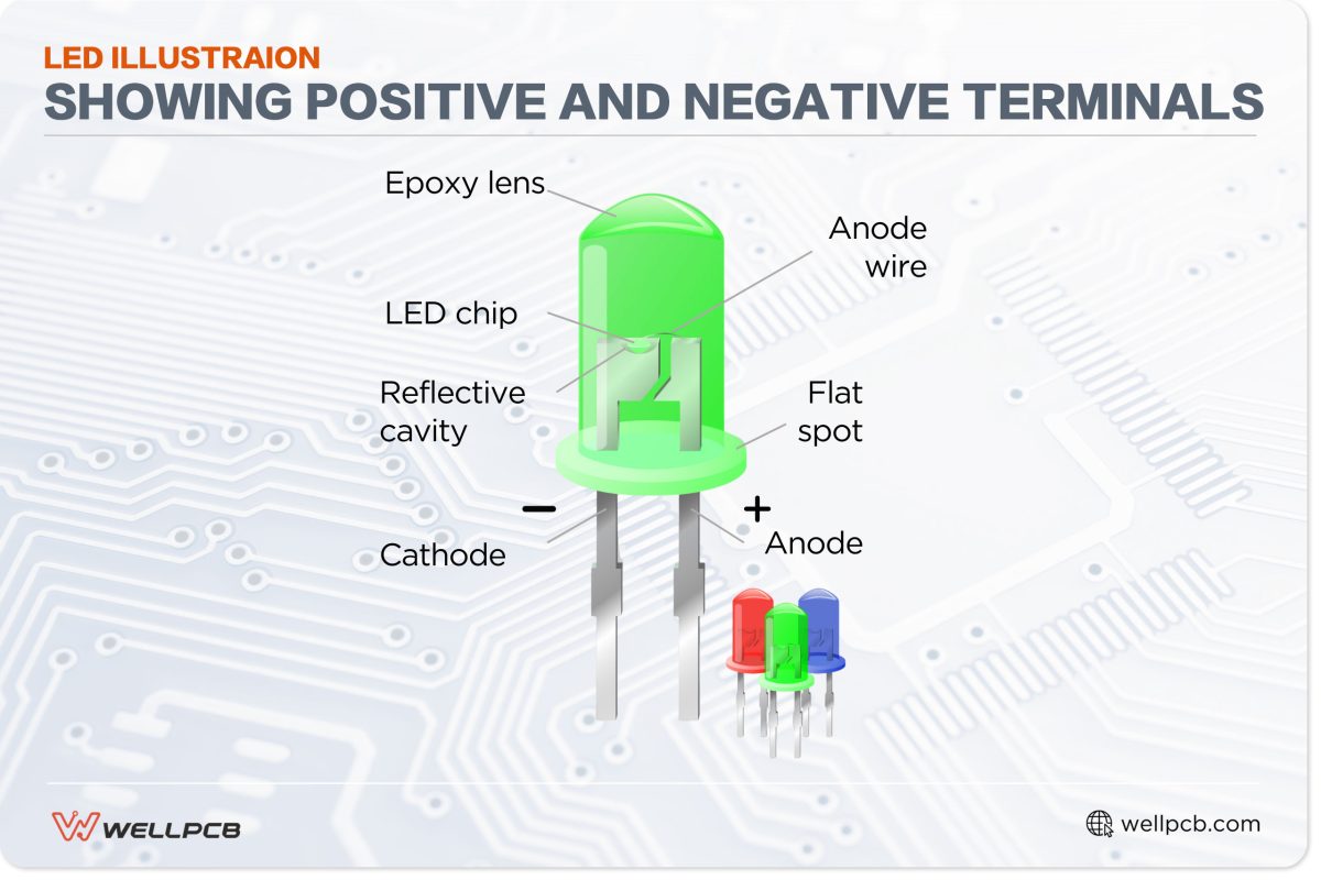 LED illustration showing positive and negative terminals