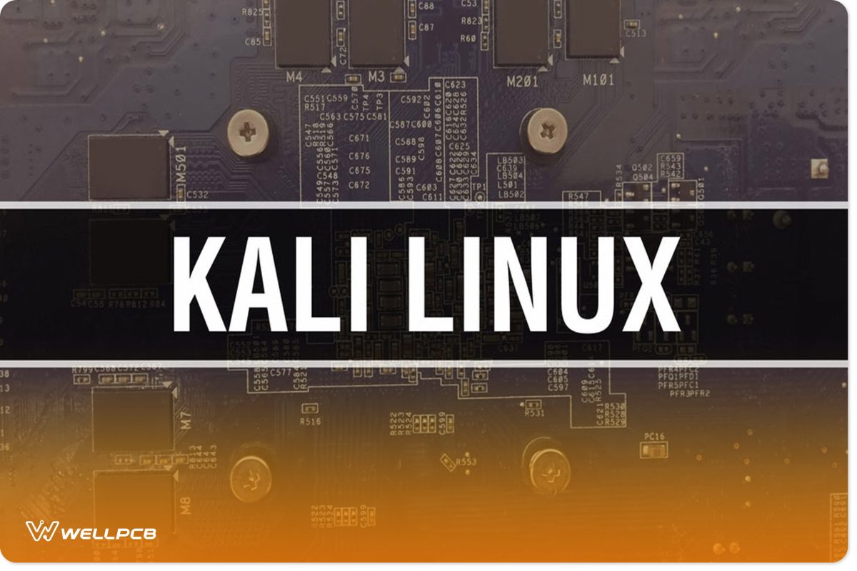 Raspberry Pi can run a variety of operating systems, including Kali Linux